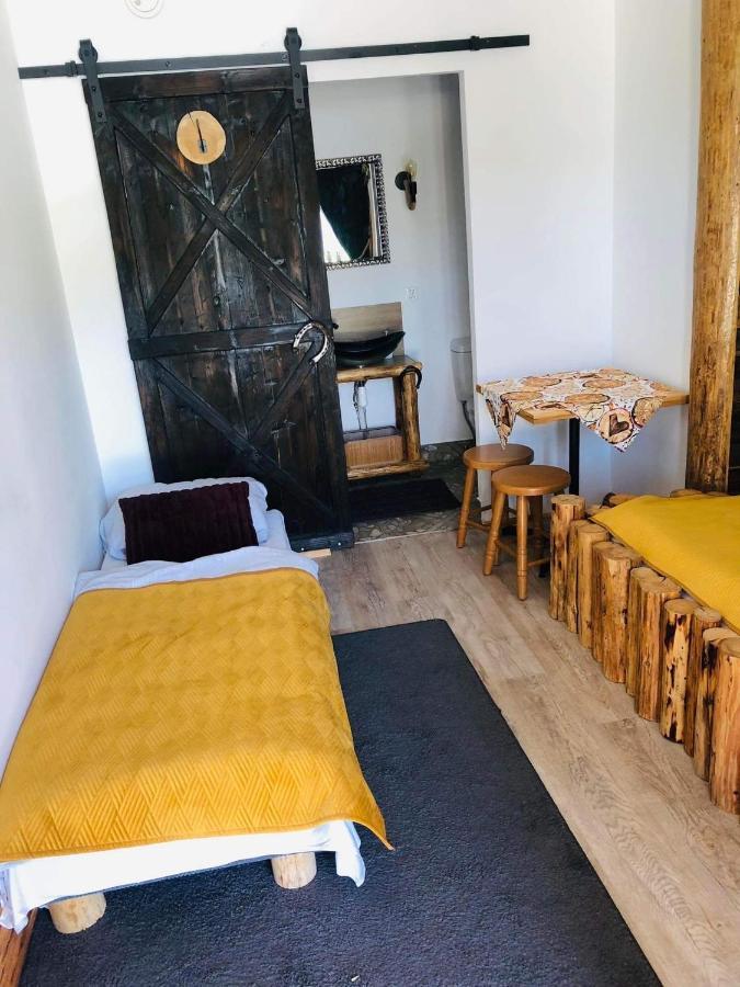Rochowa Buznica Zakopane Esterno foto